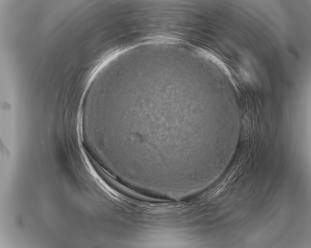 X0000091091391200708061628