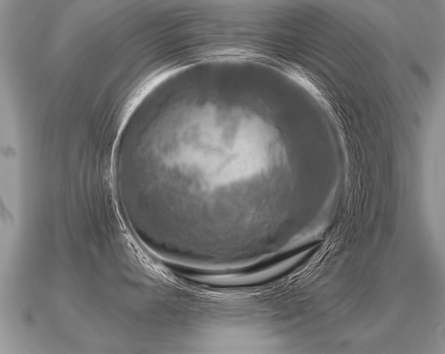 X0000091091392200708061628