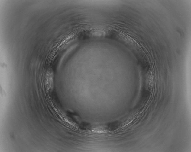 X0000091091394200708061627