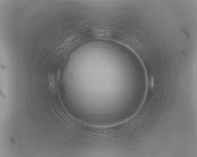 X0000091091396200708061627