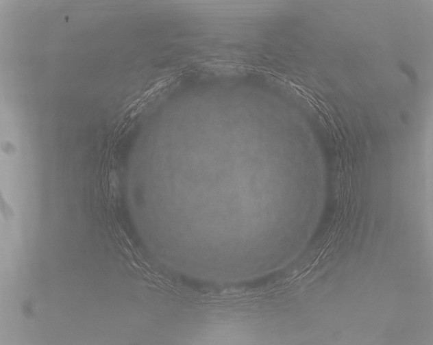 X0000091091397200708061627