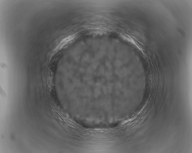 X0000091091399200708061627