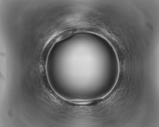 X0000091091400200708061627