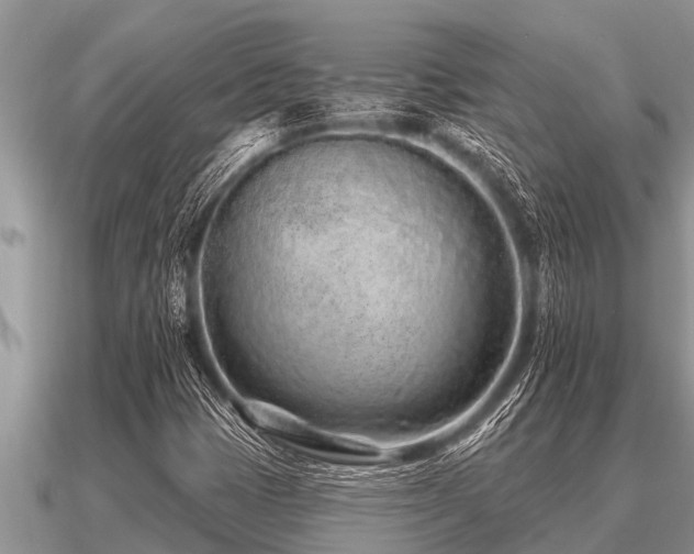 X0000091091401200708061627
