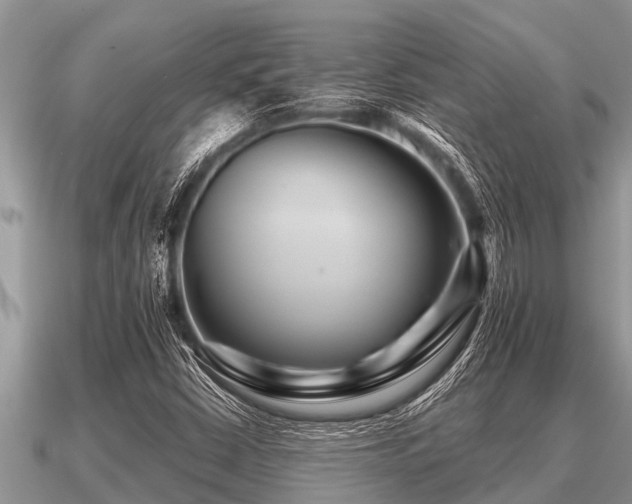 X0000091091402200708061627