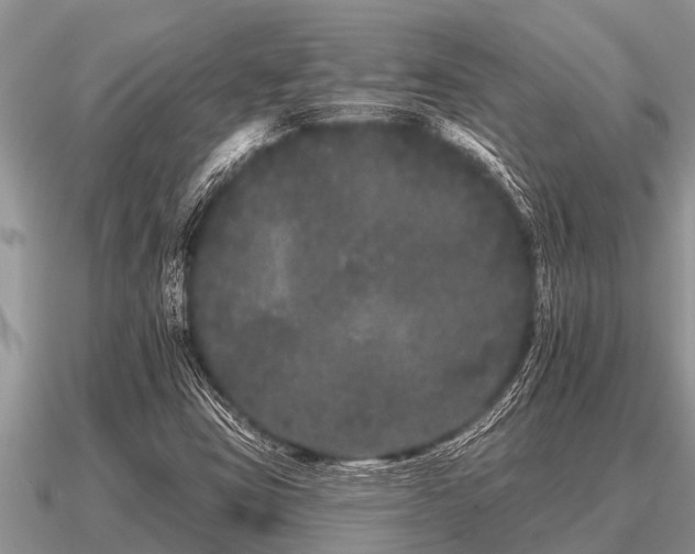 X0000091091403200708061627