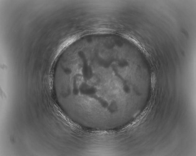 X0000091091405200708061627