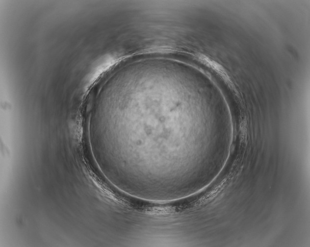X0000091091406200708061627