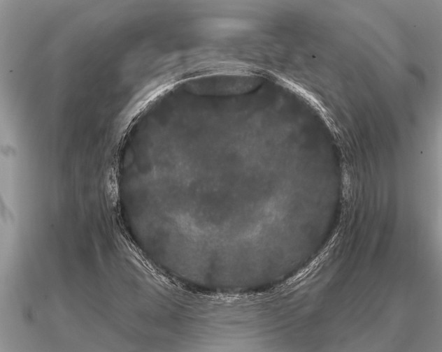 X0000091091407200708061627