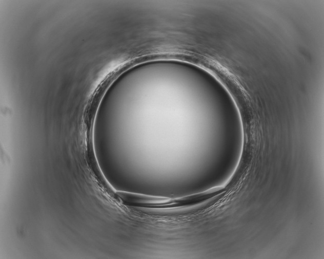 X0000091091408200708061627