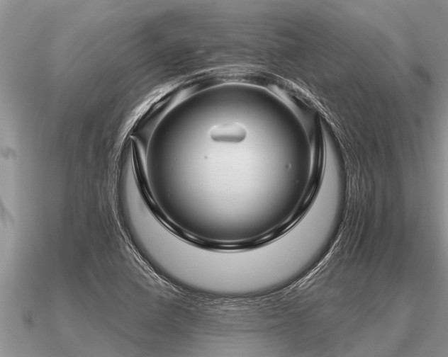 X0000091091410200708061627