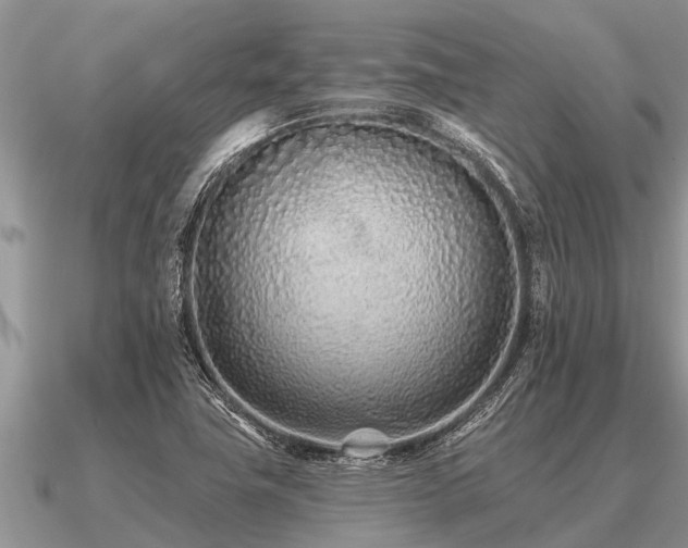 X0000091091411200708061627