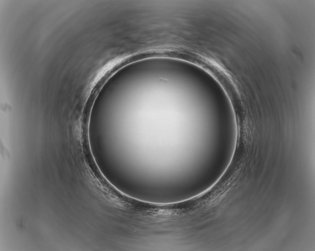 X0000091091412200708061627