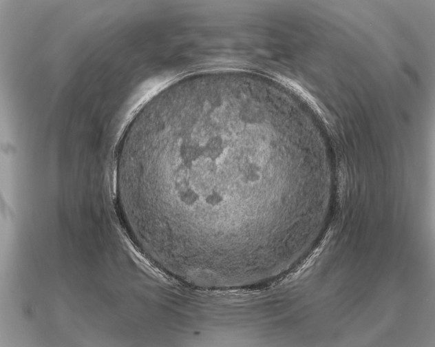 X0000091091413200708061627