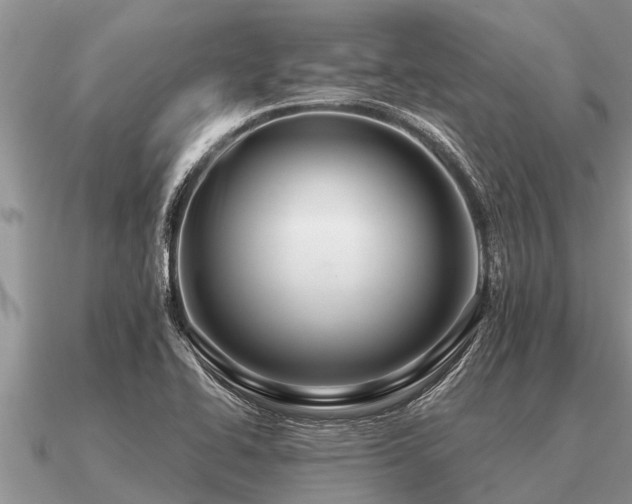 X0000091091414200708061627