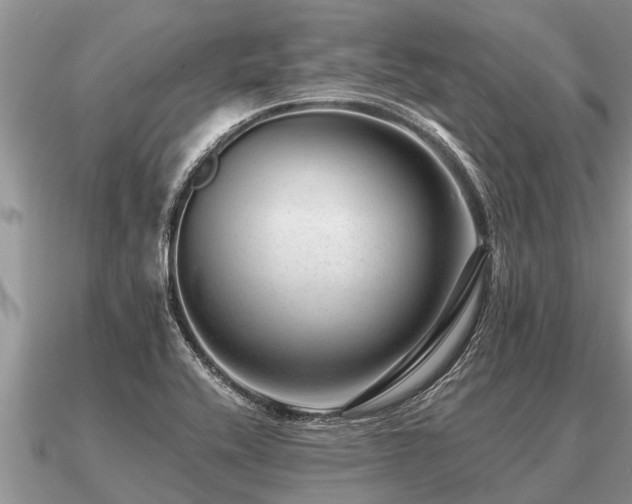 X0000091091416200708061627