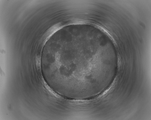 X0000091091417200708061627