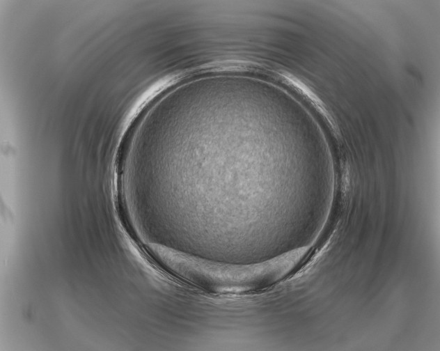 X0000091091418200708061627
