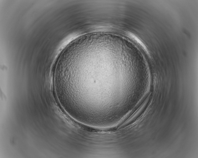 X0000091091419200708061627