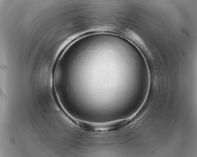 X0000091091420200708061627