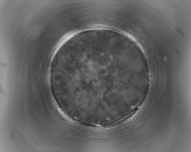 X0000091091421200708061627