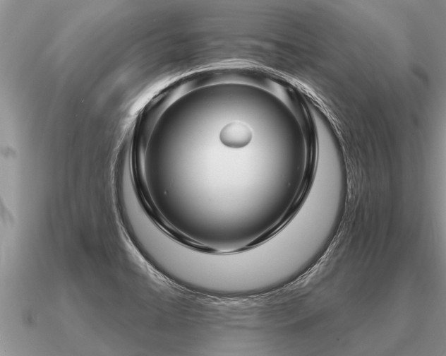 X0000091091422200708061627