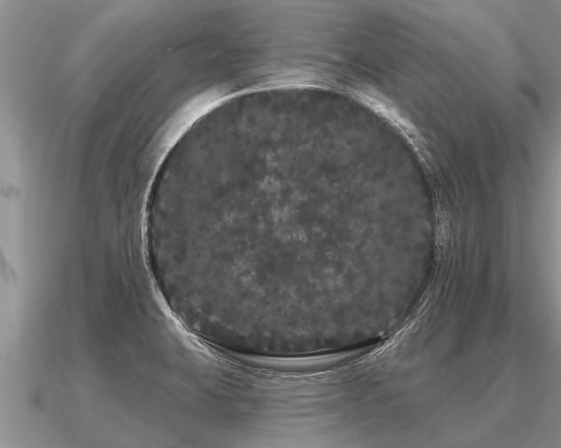 X0000091091423200708061627