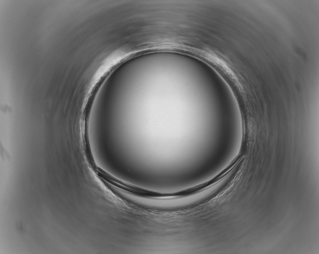 X0000091091424200708061627