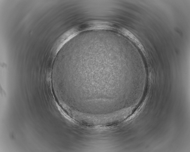 X0000091091425200708061627