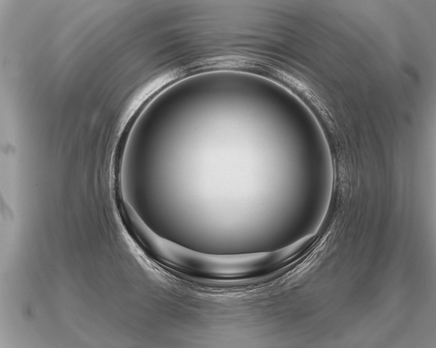 X0000091091426200708061627