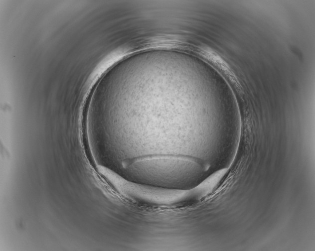 X0000091091427200708061627