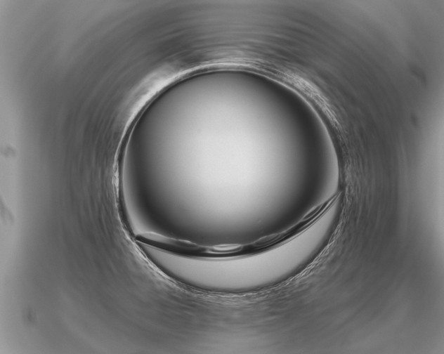 X0000091091428200708061627