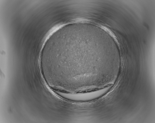 X0000091091429200708061627