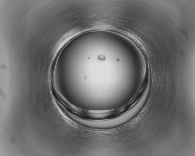 X0000091091430200708061628