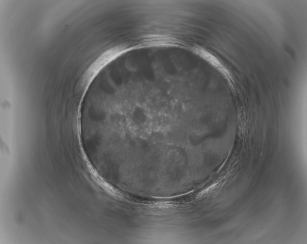 X0000091091431200708061628
