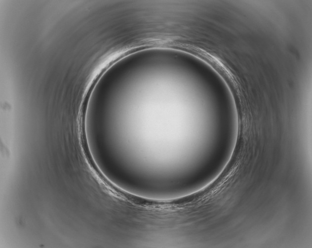 X0000091091432200708061628