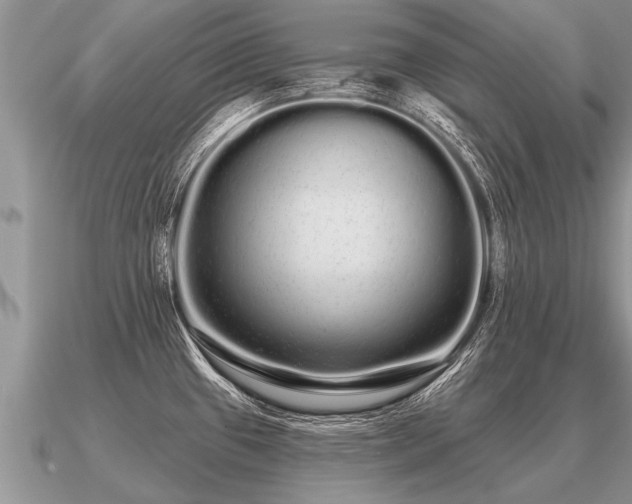 X0000091091433200708061628