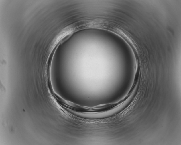 X0000091091434200708061628