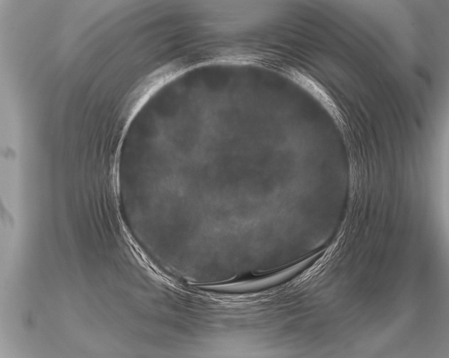 X0000091091436200708061628