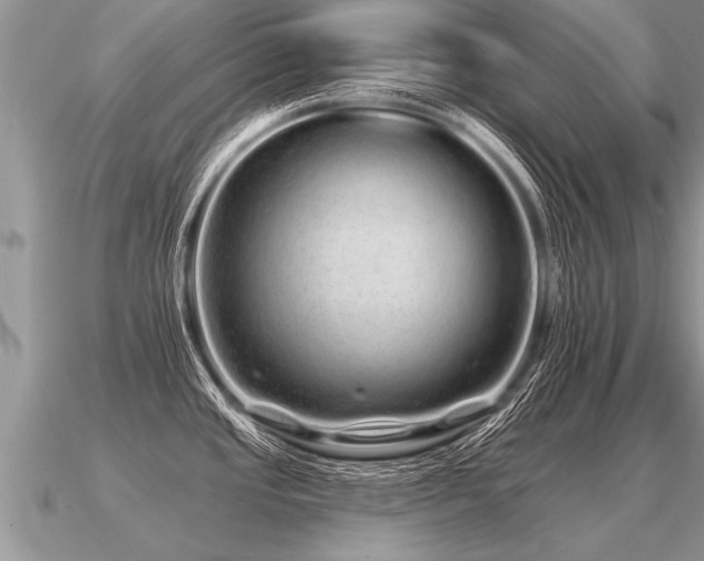 X0000091091437200708061628