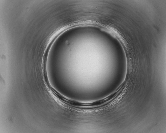 X0000091091438200708061628