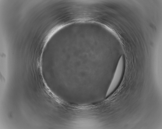 X0000091091440200708061628