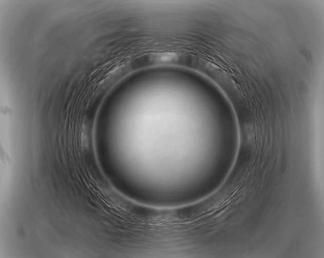 X0000091091442200708061627