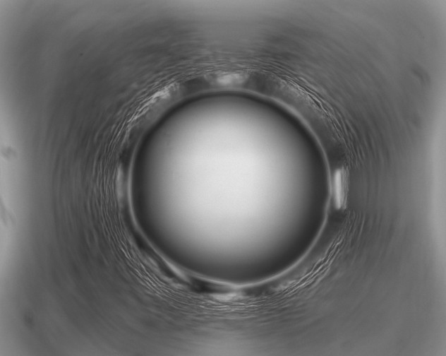 X0000091091443200708061627