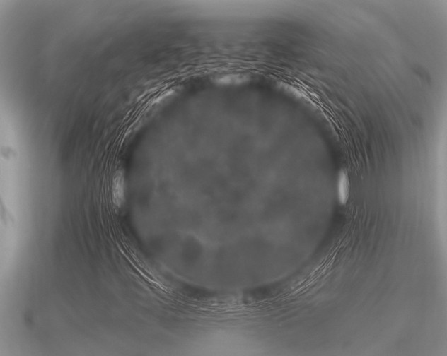 X0000091091444200708061627
