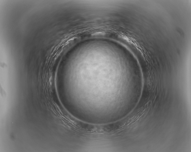 X0000091091445200708061627