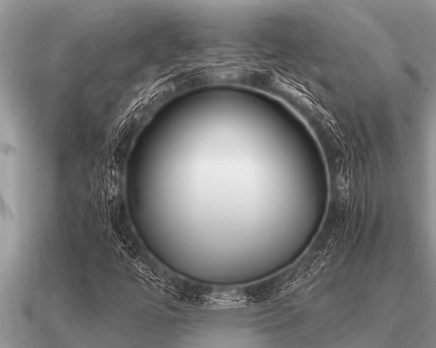 X0000091091447200708061627