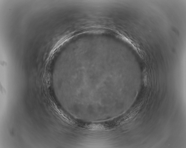 X0000091091448200708061627