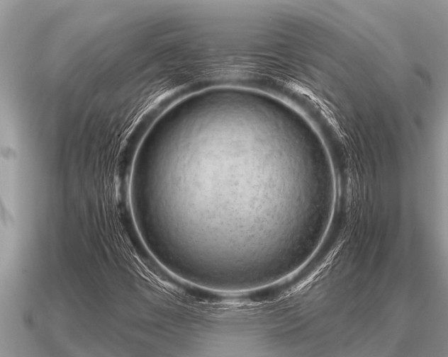 X0000091091449200708061627