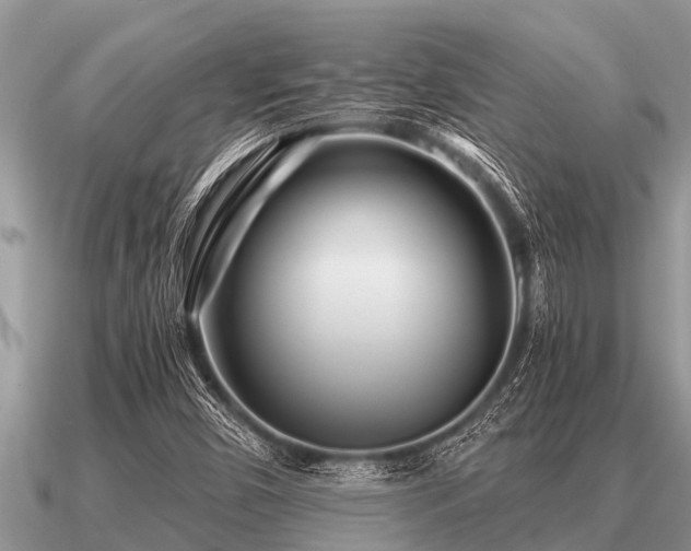 X0000091091450200708061627